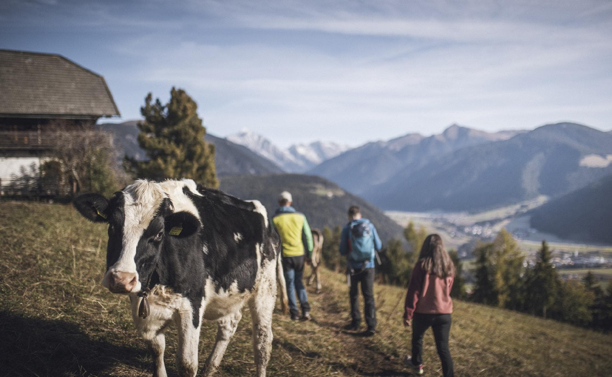 Galerie Residence Diana Terenten Südtirol Urlaub im Pustertal mit Bergpanorama (4)