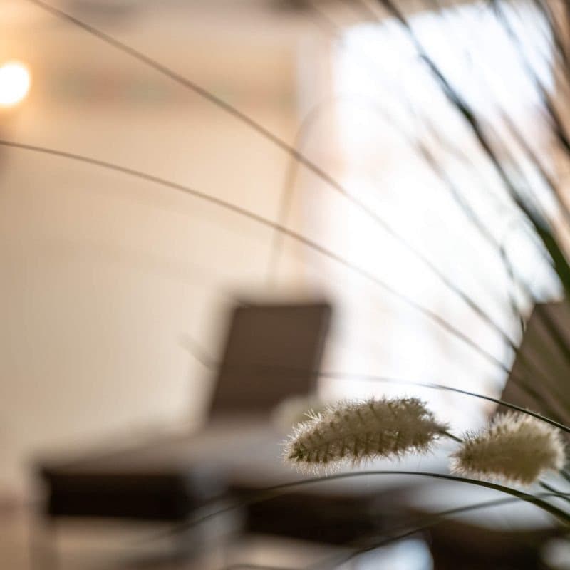 REsidence Diana 40 REsidence Diana 40