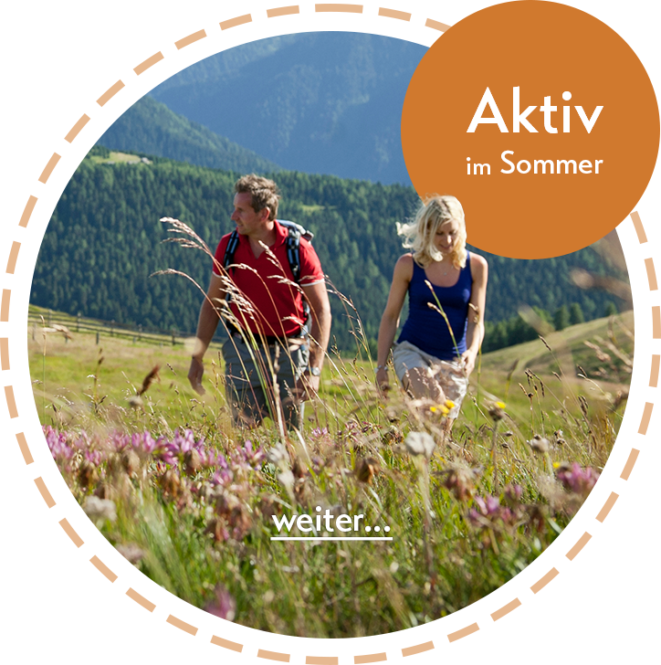 SOMMER AKTIV residence diana