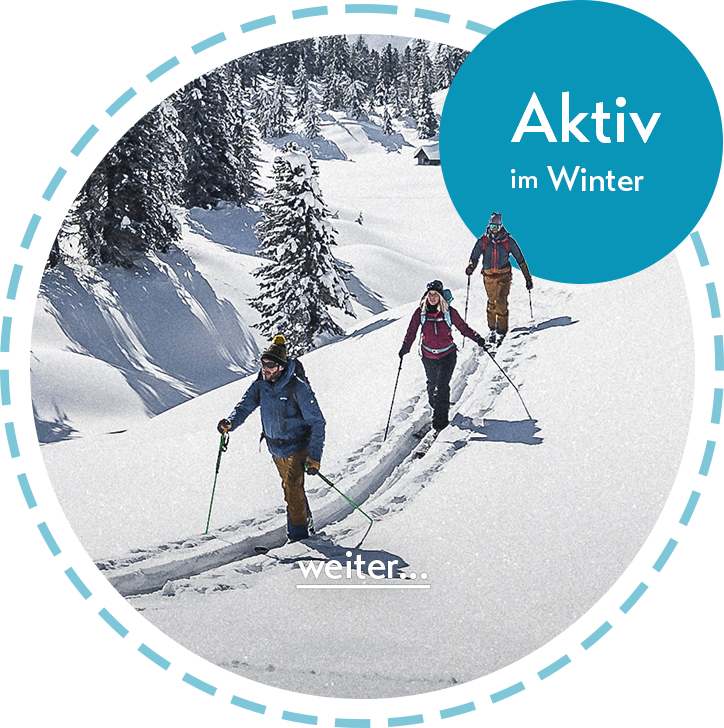 winter AKTIV residence diana